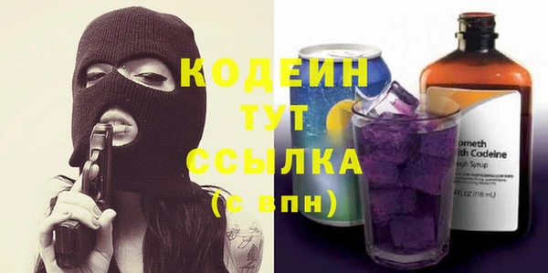 крисы Пересвет