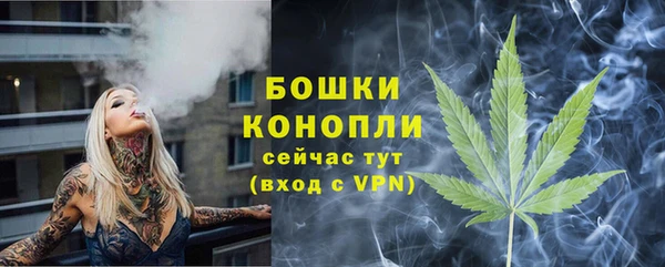 крисы Пересвет