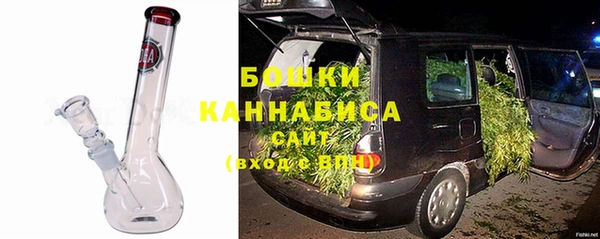 крисы Пересвет