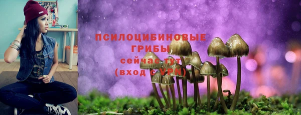 крисы Пересвет