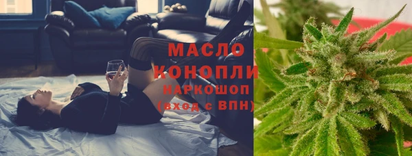 крисы Богородицк