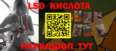 индика Кингисепп
