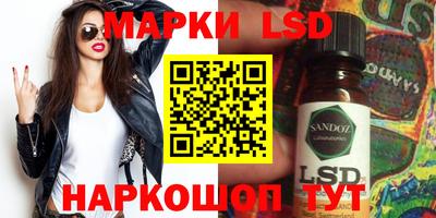 индика Кингисепп