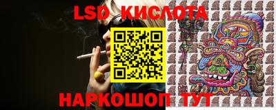 стаф Кимры