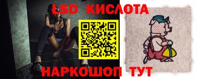 индика Кингисепп