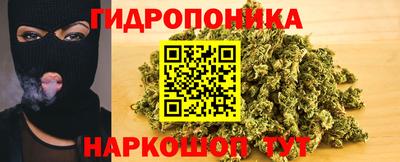 стаф Кимры