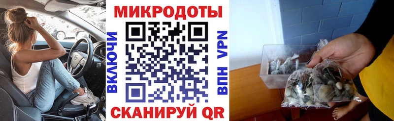 Галлюциногенные грибы мицелий Костомукша