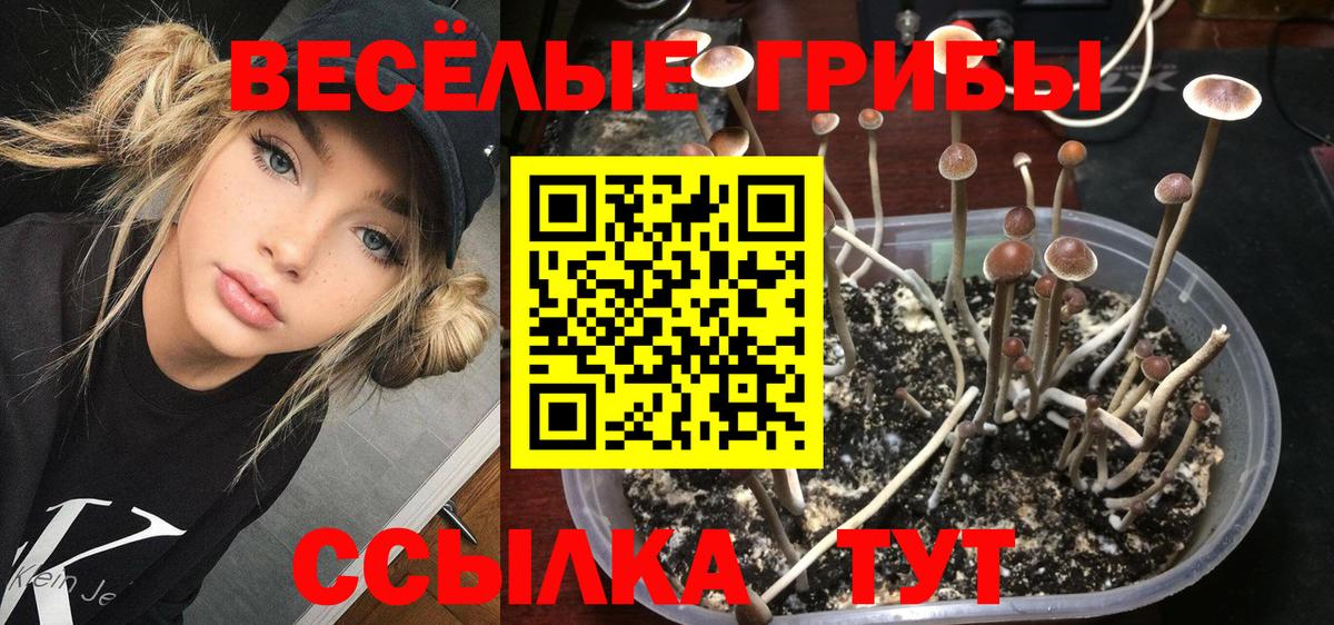 Галлюциногенные грибы мухоморы Костомукша