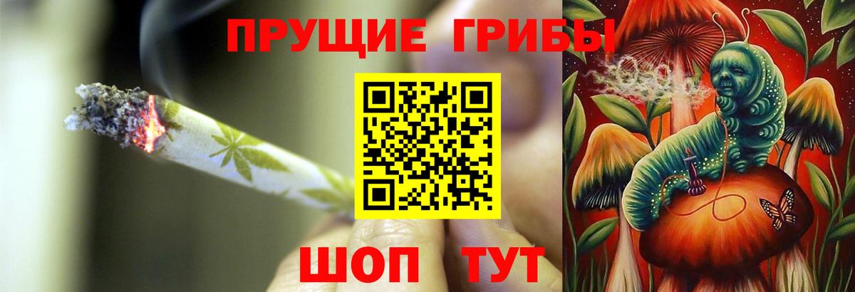 Псилоцибиновые грибы мухоморы  Галлюциногенные грибы Psilocybine cubensis  Костомукша  Вход с VPN 